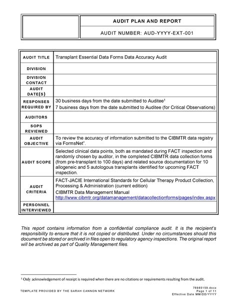 Adrenaline Affiliates Audit Report .